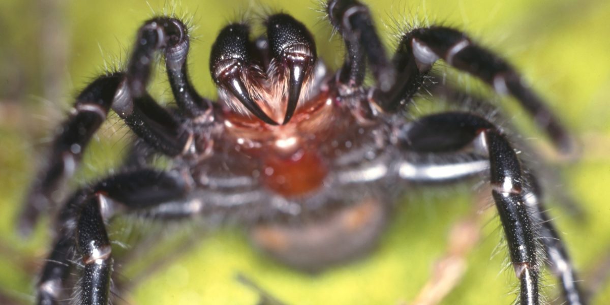 profimedia-0156398475.jpg - PresaObiectiva