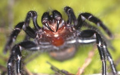 profimedia-0156398475.jpg - PresaObiectiva