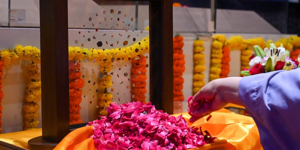 profimedia-1026803337.jpg - PresaObiectiva