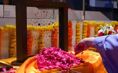 profimedia-1026803337.jpg - PresaObiectiva