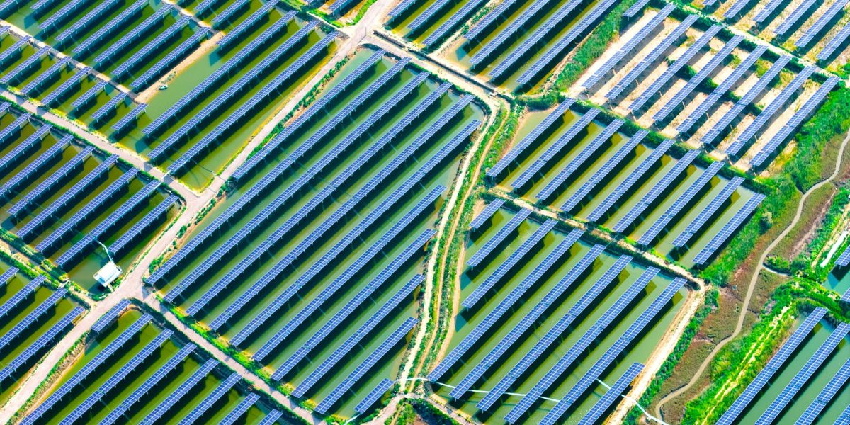 profimedia-1028956324.jpg - PresaObiectiva