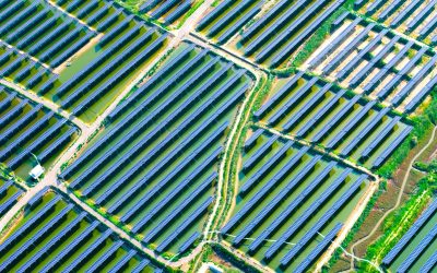 profimedia-1028956324.jpg - PresaObiectiva