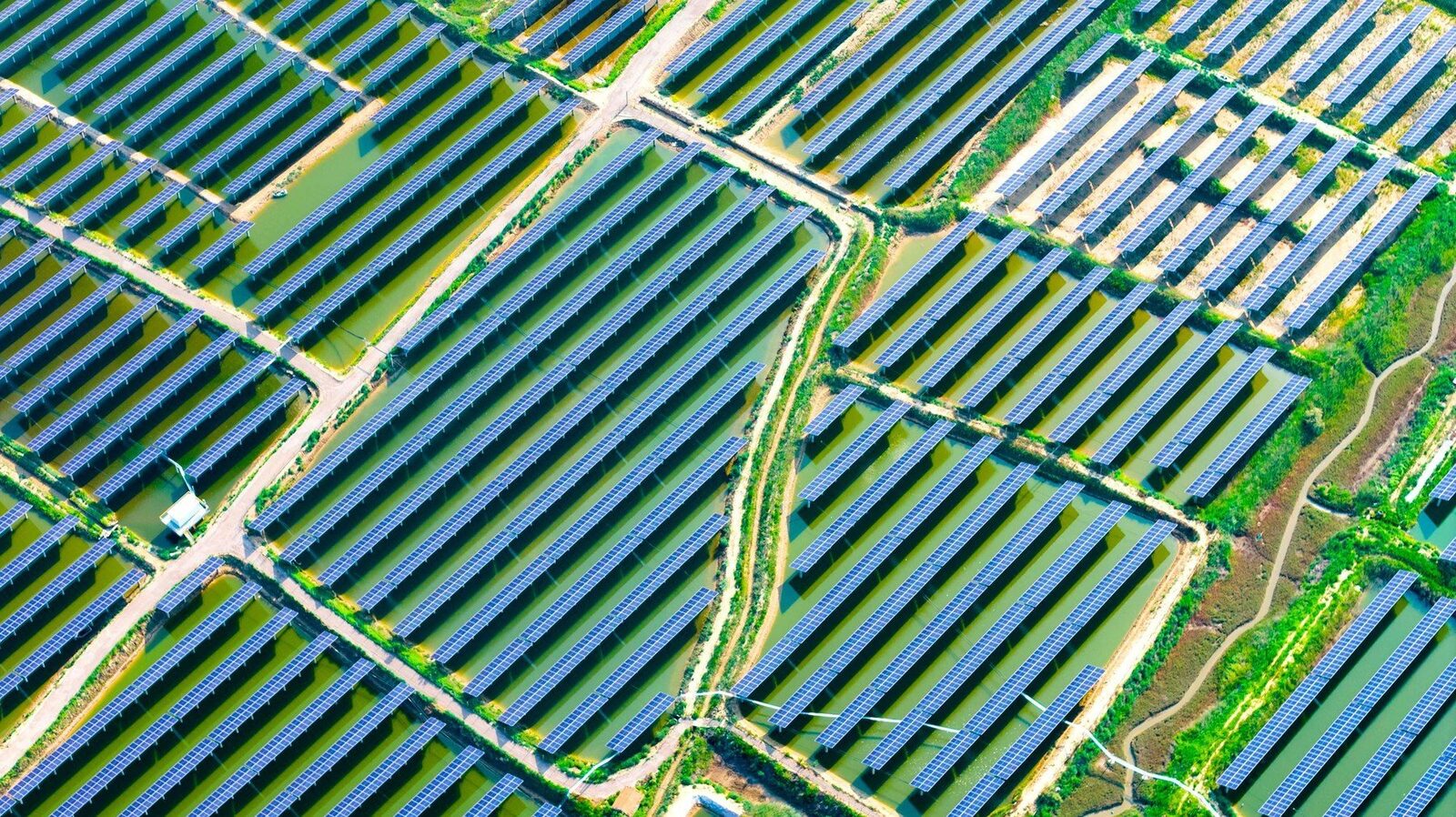 China duce în vârf producția globală de energie într-un ritm amețitor, atingând niveluri fără precedent, într-un efort aparent de a-și consolida poziția de lider în domeniile strategice ale viitorului