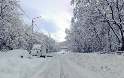 profimedia-1066200499.jpg - PresaObiectiva