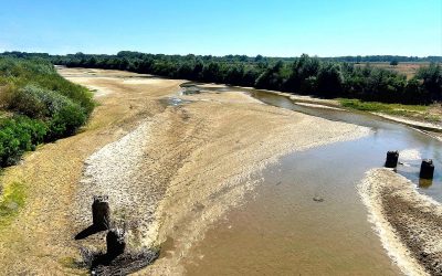 rau-secat-2.jpg - PresaObiectiva