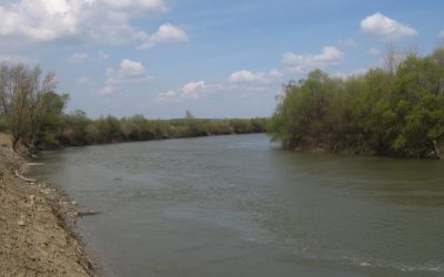 raul-prut-e1644224400143.jpeg - PresaObiectiva