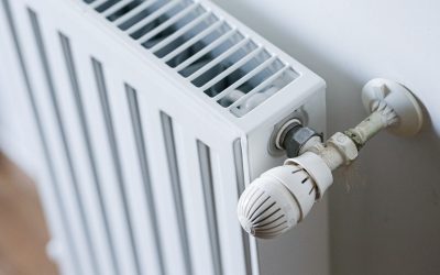 repartitoare_INQUAM_Photos_Virgil_Simonescu.jpg - PresaObiectiva