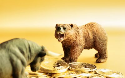 shutterstock_1982668922.jpg - PresaObiectiva