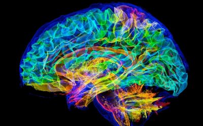 simulare-creier-uman-supercomputer.jpg - PresaObiectiva