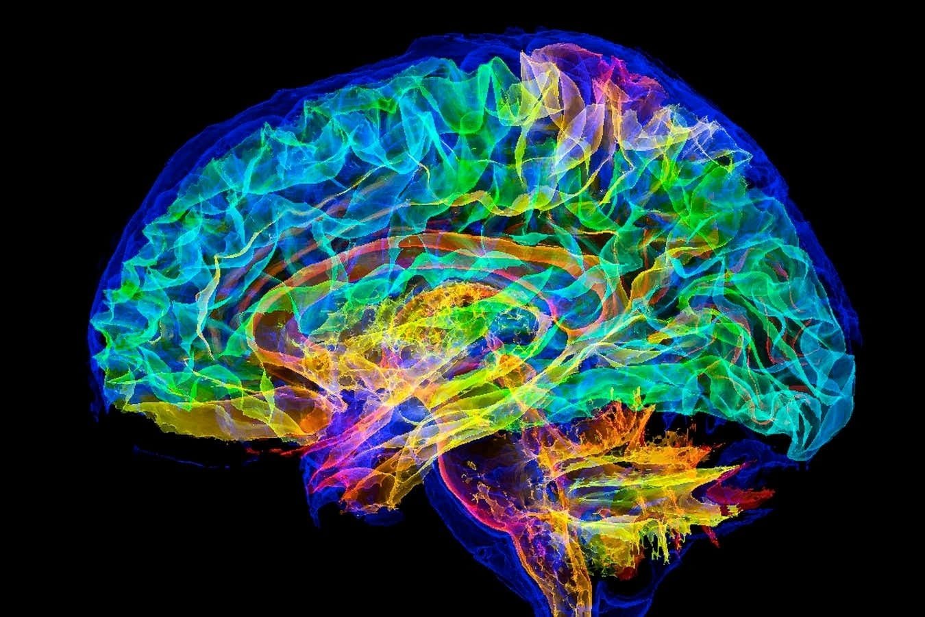 Rezultate importante în studierea funcționării minții umane