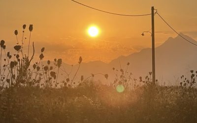 soare-caldura-canicula-fotoo-g4media-o-hategan.jpg - PresaObiectiva