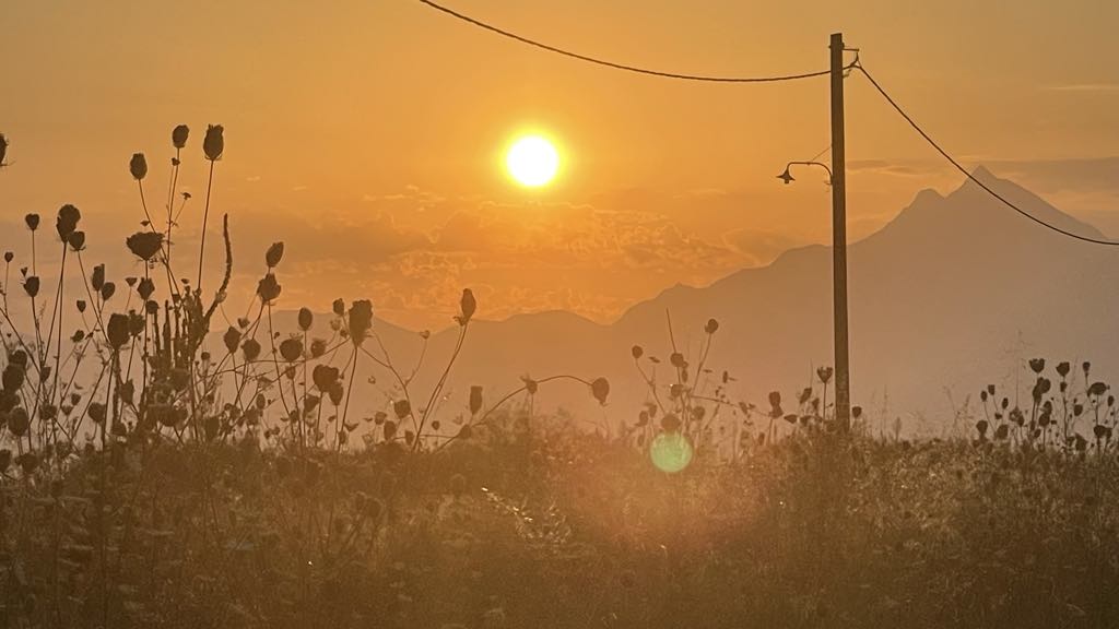 soare-caldura-canicula-fotoo-g4media-o-hategan.jpg - PresaObiectiva