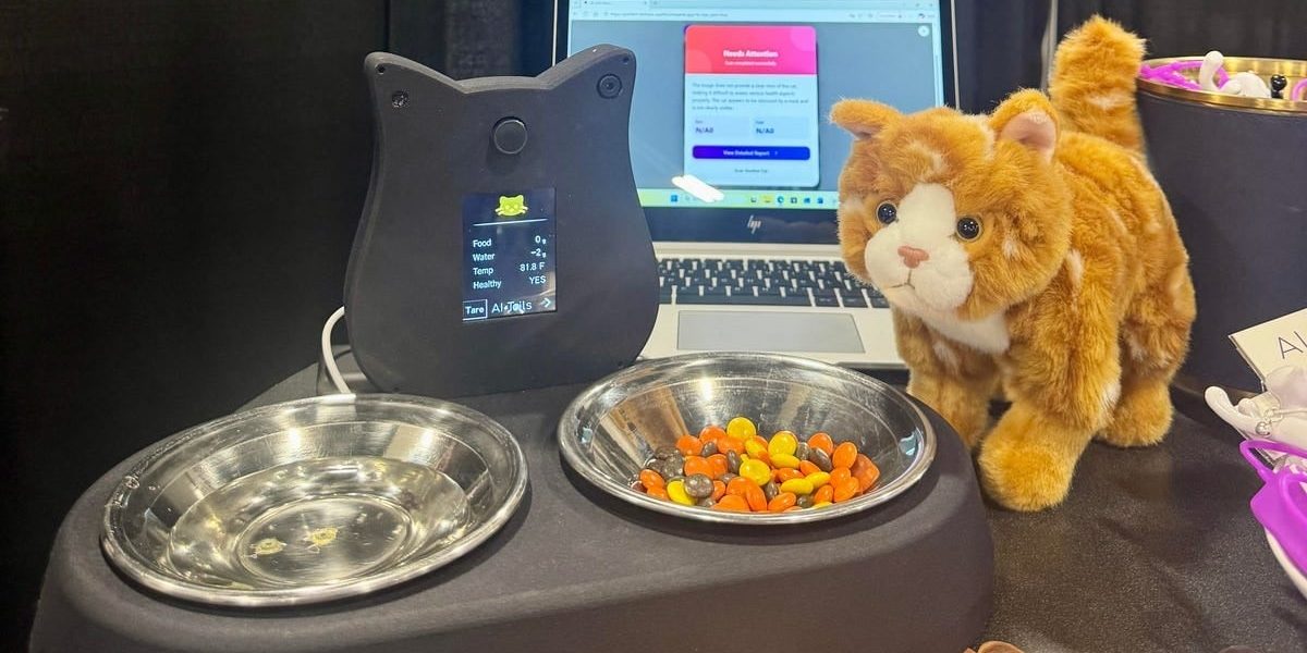 statie-pisici-ai-tails.jpg - PresaObiectiva