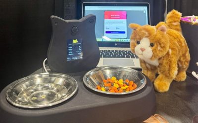 statie-pisici-ai-tails.jpg - PresaObiectiva