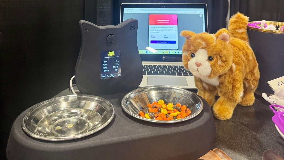 Inovație în monitorizarea sănătății animalelor de companie: tehnologie elvețiană de ultimă oră dar neobișnuită la CES 2026 În plin sezon al tehnologiei pentru animale, la CES 2026 s-a evidențiat un produs care face pasul de la simple dispozitive de monitorizare la o adevărată frontieră în prevenția medicală pentru feline