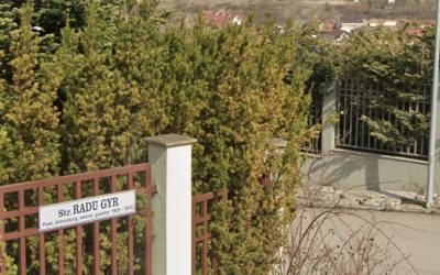 strada-radu-gyr.jpg - PresaObiectiva