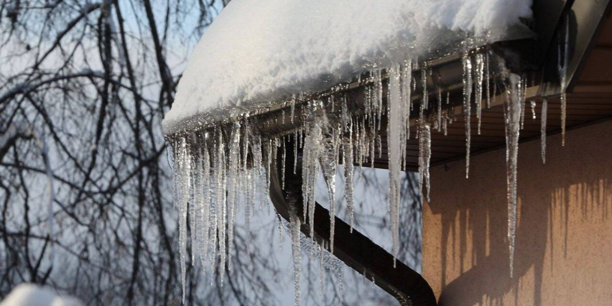 turturi.jpg - PresaObiectiva