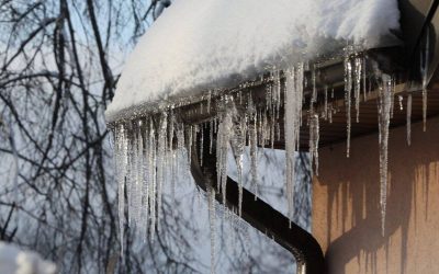 turturi.jpg - PresaObiectiva