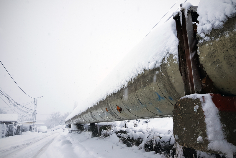 viscol.jpg - PresaObiectiva