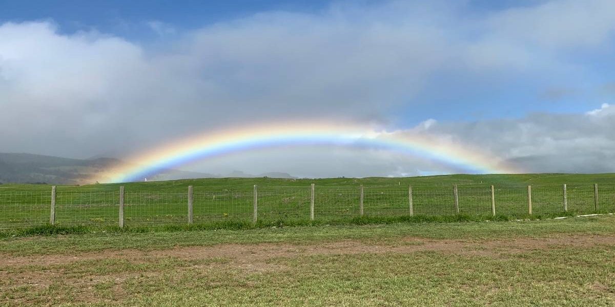 w4.jpg - PresaObiectiva