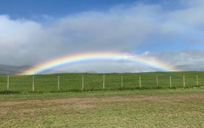 w4.jpg - PresaObiectiva