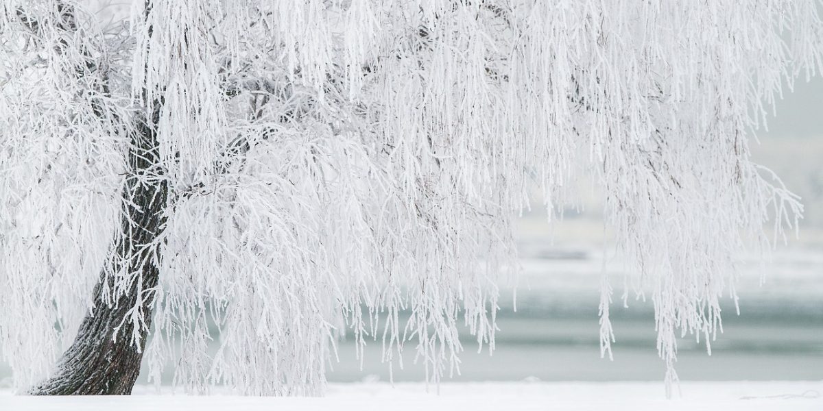 winter-1367153_1280.jpg - PresaObiectiva