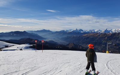 zapada-schi.jpg - PresaObiectiva