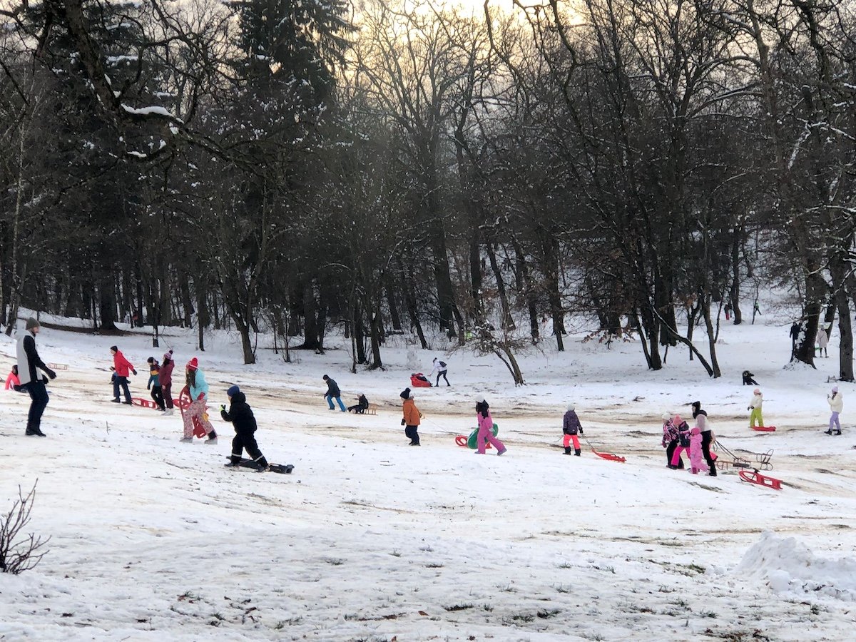 Sibienii, în căutarea săniilor: panică în magazinele locale din cauza lipsei echipamentelor de iarnă pentru distracție Zăpada mult așteptată de sibieni, adusă de ninsorile din ultimele zile, a creat, din păcate, o situație surprinzătoare și neplăcută pentru părinți și copii: găsirea unei sănii pentru distracție s-a transformat într-o adevărată provocare