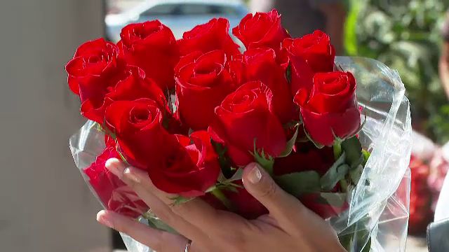 Trandafirii de Valentine’s Day, plini de toxine: Rezultatele alarmante ale testelor din Olanda Testele de laborator efectuate asupra buchetelor de flori din Olanda, considerată hub-ul european pentru importul de flori, au relevat prezența unor reziduuri alarmante de pesticide la trandafiri