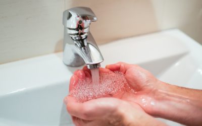 627405238_1240448354929533_6123919370043139567_n.jpg - PresaObiectiva