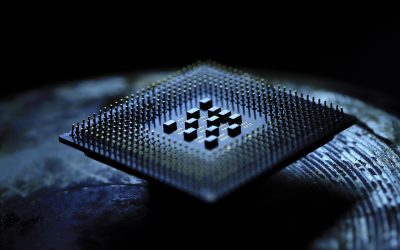 7130603.jpg - PresaObiectiva