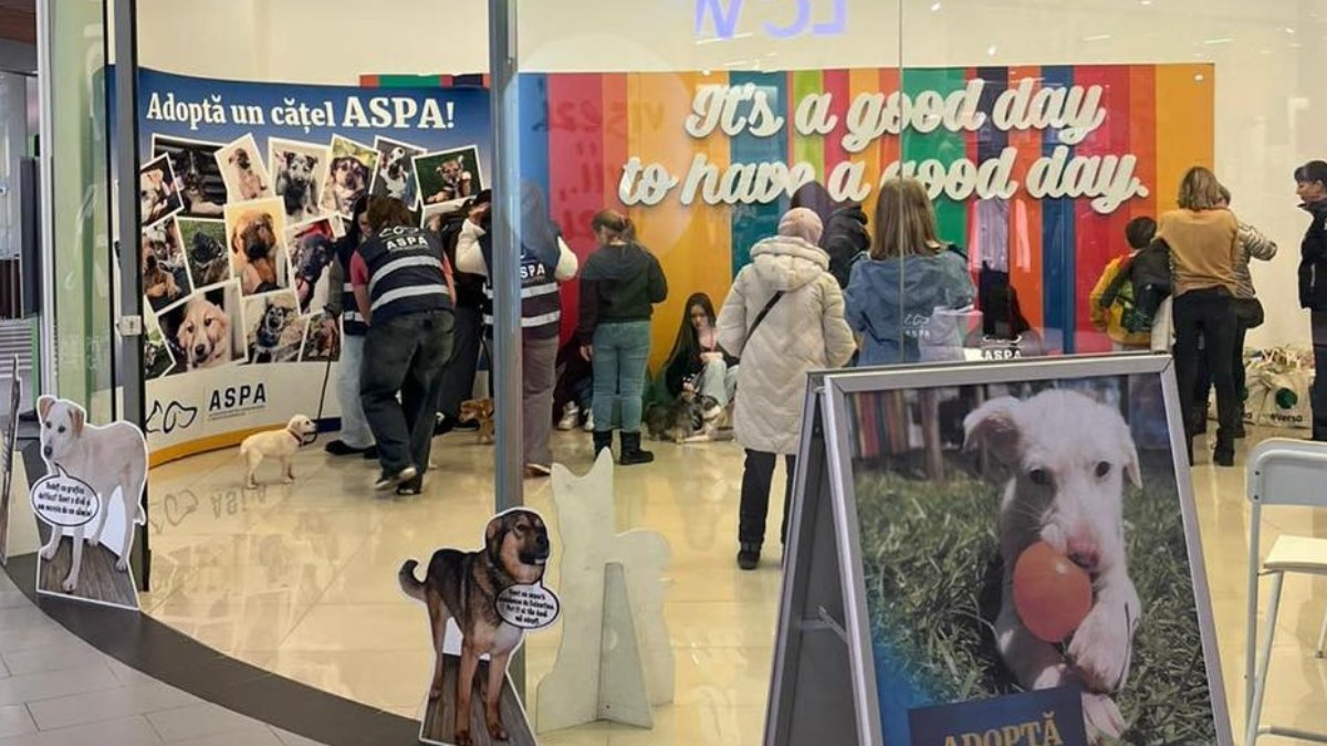 ASPA: Zece căței adoptați la primul târg din 2026