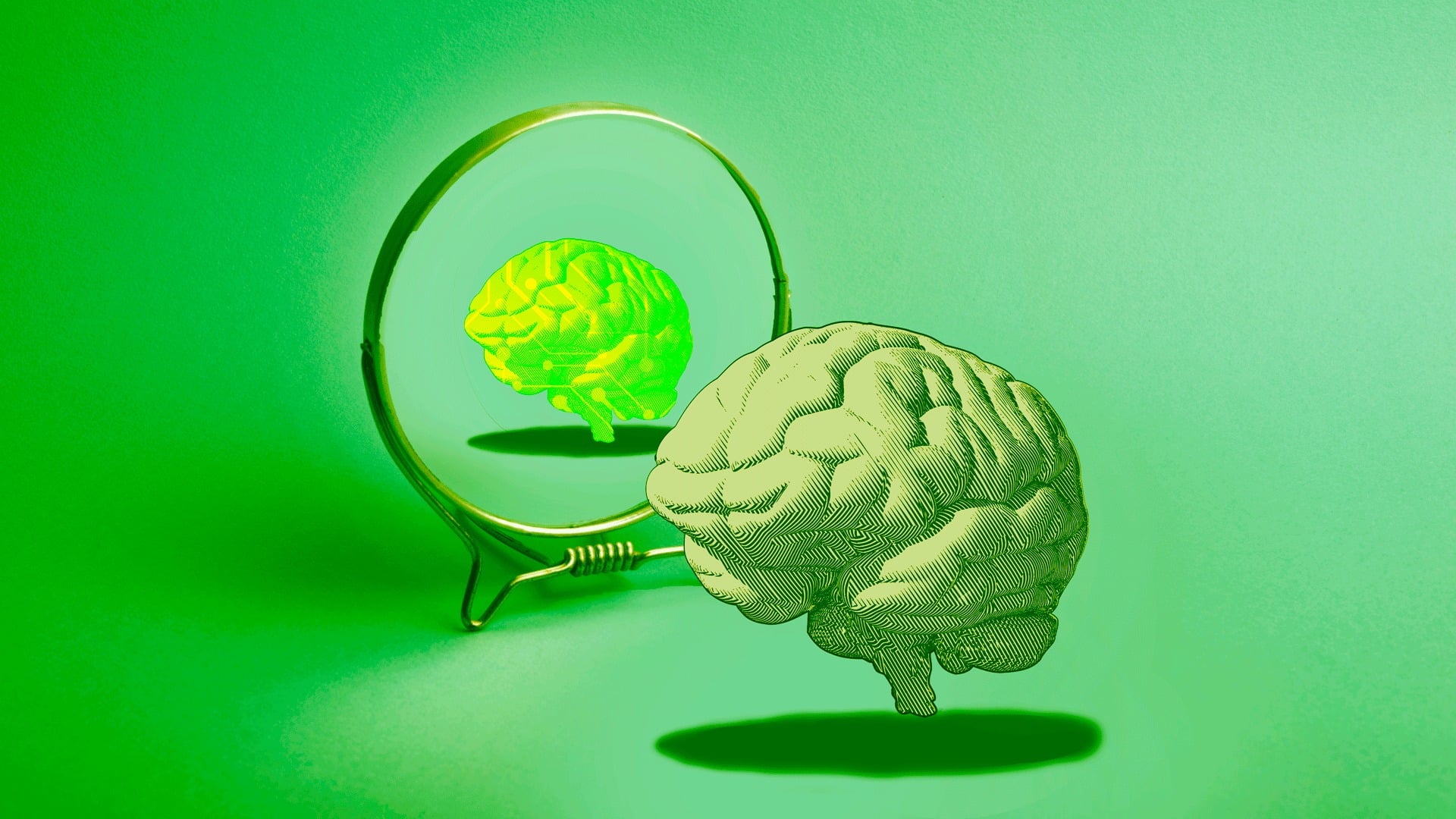 Modul în care utilizatorii își percep măsura inteligenței