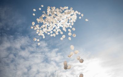 FB1A1660.jpg - PresaObiectiva