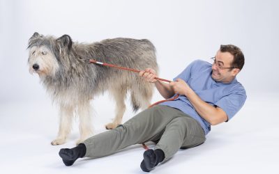 Foto-Leya_George-scaled.jpg - PresaObiectiva