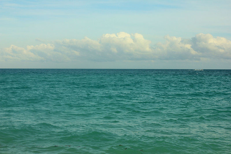 Gfp-florida-miami-ocean-and-horizon.jpg - PresaObiectiva