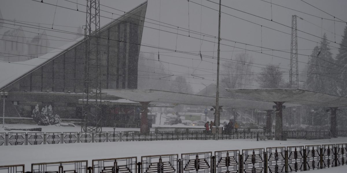 ID239030_INQUAM_Photos_Alex-Nicodim_-scaled.jpg - PresaObiectiva