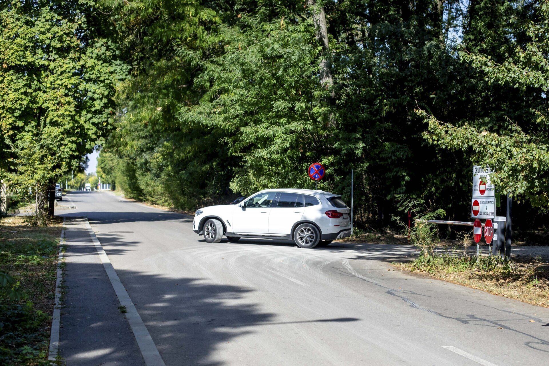 Ministerul Mediului a făcut lumină asupra controversatului drum auto care leagă cartierul Greenfield de Pădurea Băneasa, remarcând serioase nereguli în modul de autorizare și executare a lucrărilor