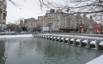 ID332283_INQUAM_Photos_George_Calin-1-e1770468225307.jpg - PresaObiectiva