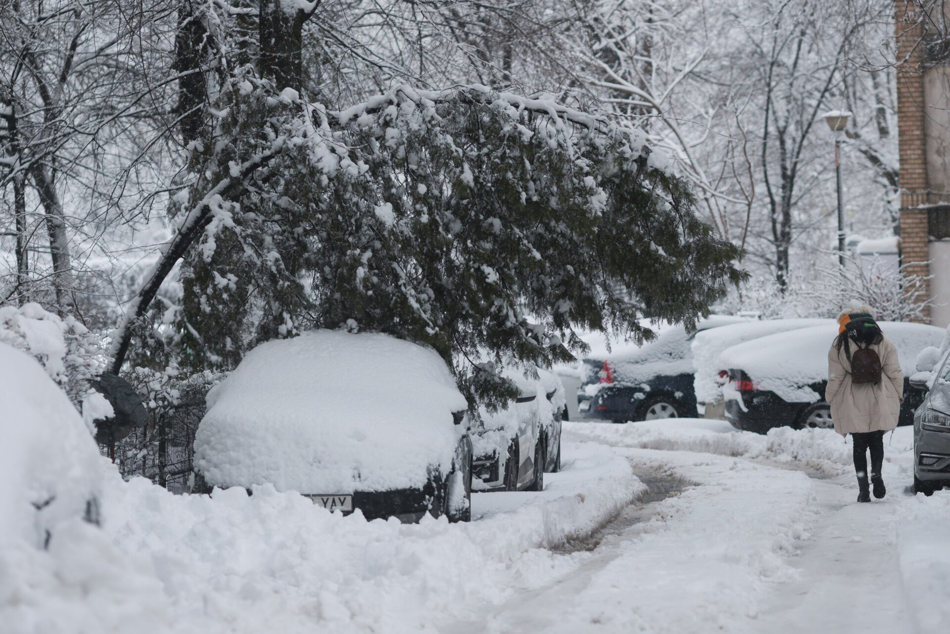 Revenirea bruscă a iernii a adus haos în București și în zona Ilfov, provocând daune semnificative în toate sectoarele capitalei