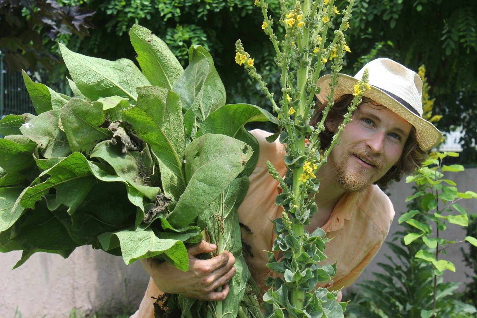 Deși pentru mulți fermieri din România cultura mazării de toamnă reprezintă încă o noutate, interesul pentru această specie vegetală crește pe măsură ce sunt descoperite avantajele sale multiple