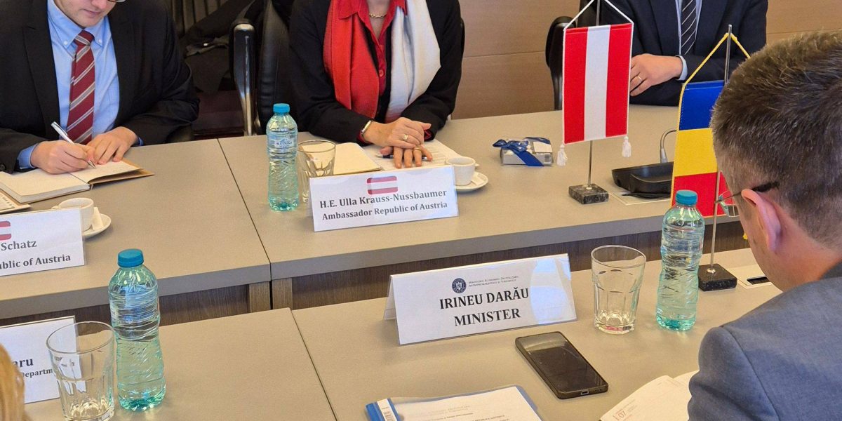 Irineu-Darau-intalnire-Austria.jpg - PresaObiectiva