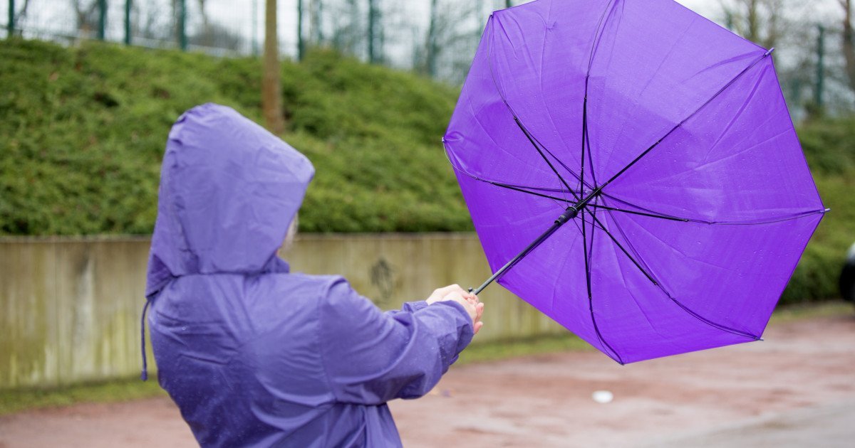 Avertizare de vânt puternic în cinci județe din țară