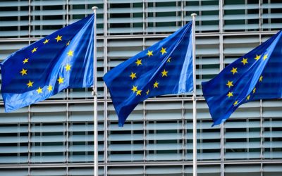 PWM0MTMyOTJlZDFhNTQ1MmM2OWRhM2VhMDY3MGQwNDZk.thumb_.jpg - PresaObiectiva