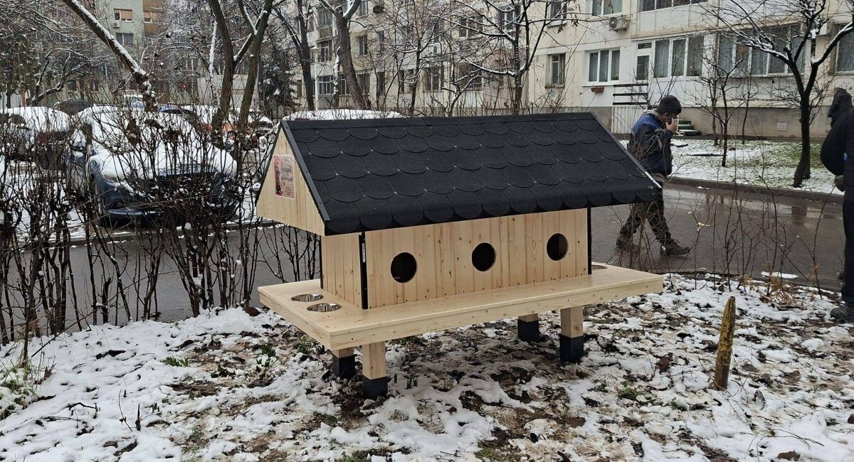 Sector 6 a instalat patru noi căsuțe pentru pisici