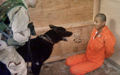 Screenshot-2024-11-12-at-22.31.31.png - PresaObiectiva