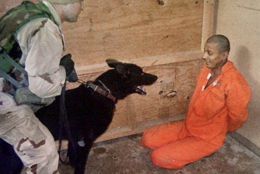 Screenshot-2024-11-12-at-22.31.31.png - PresaObiectiva