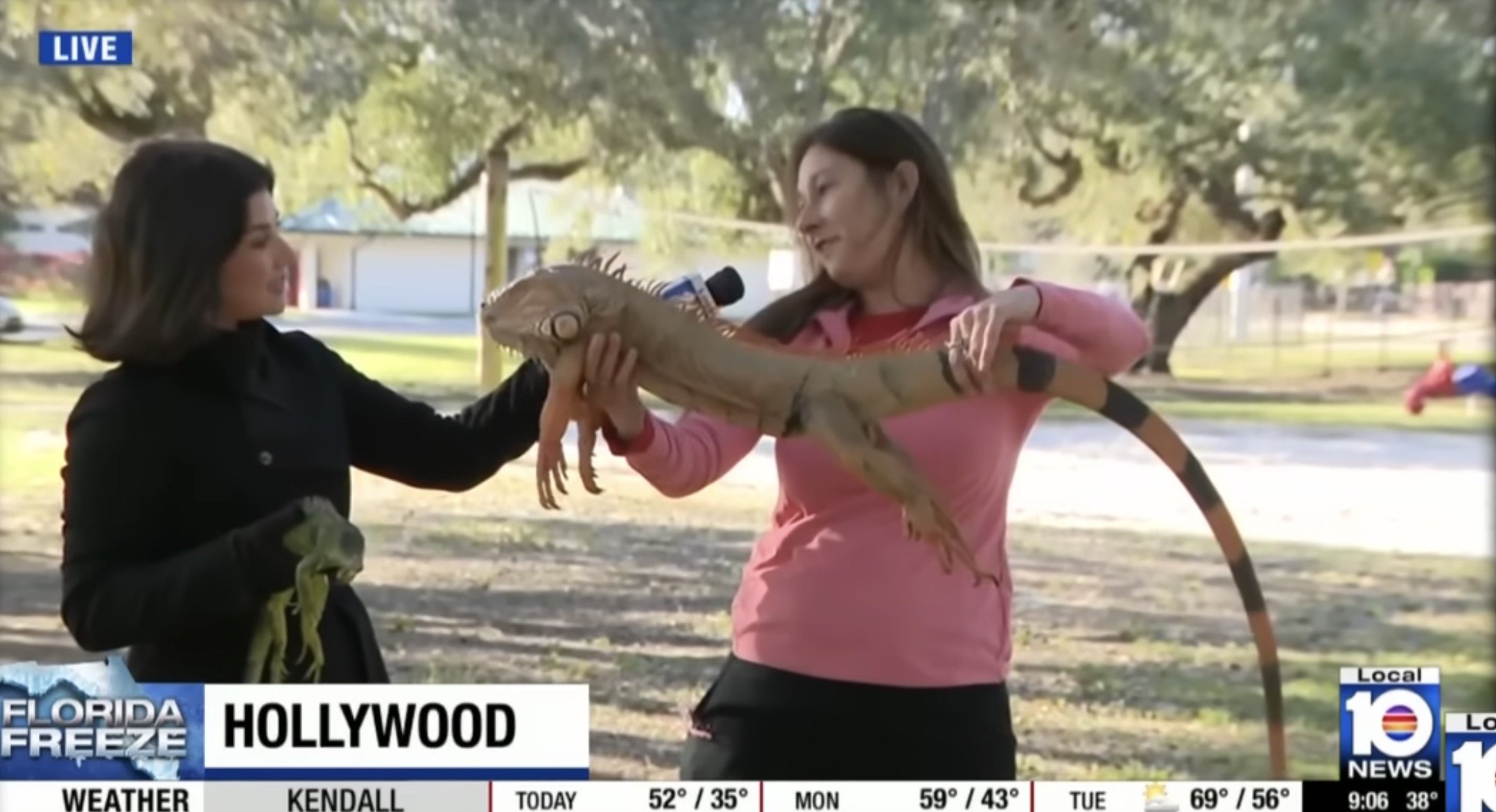 Furtuna de iarnă ce a traversat sud-estul Statelor Unite în acest weekend a adus haos total pe drumurile și în orașele din această regiune, perturbând grav viața cotidiană și operațiunile de transport