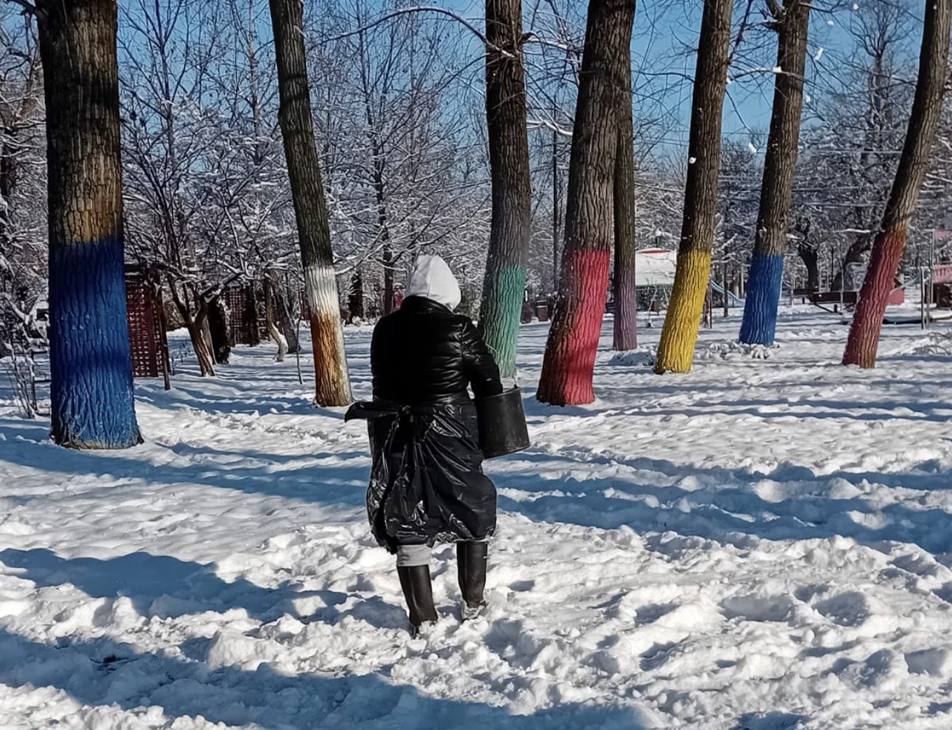 Administrația Domeniului Public Alexandria a făcut recent un pas controversat în gestionarea spațiilor verzi din municipiu, prin începerea fertilizării zonelor verzi cu îngrășământul Florovit, în plină iarnă