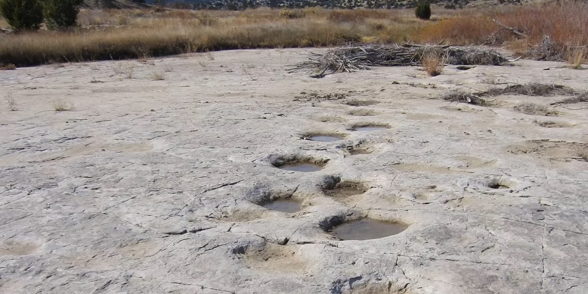 Screenshot-972.jpg - PresaObiectiva